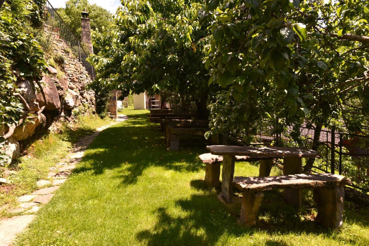 Balcon Del Pirineo Rural Ordesa 호텔 Buesa 외부 사진