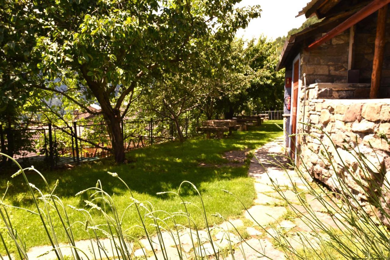Balcon Del Pirineo Rural Ordesa 호텔 Buesa 외부 사진
